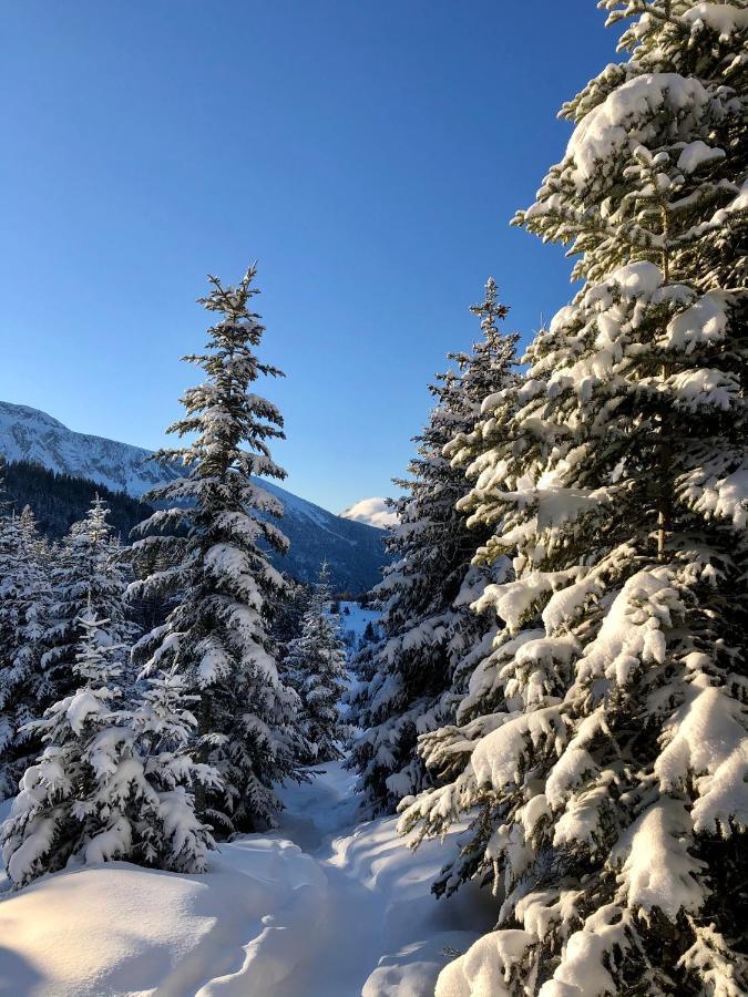 T2- 4Pers- Chamrousse Bachat Bouloudアパートメント エクステリア 写真